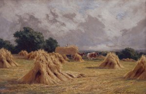 Un champ de maïs à Harlow, Essex