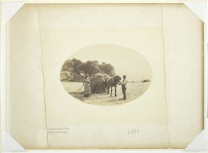 Sur les pentes de Cader-Idris, la dernière charge de foin - Henry Peach Robinson