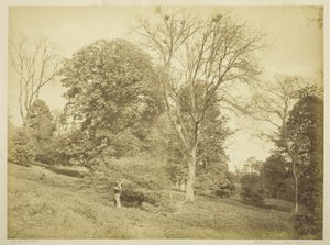 Tir aux corbeaux - Henry Peach Robinson