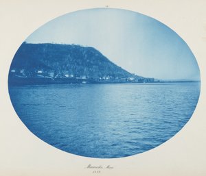 Minneiska, Minn. - Henry Peter Bosse