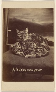 Une bonne année - Henry Pointer