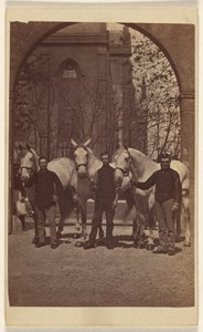 [Trois hommes posant avec trois chevaux blancs]. - Henry Pointer