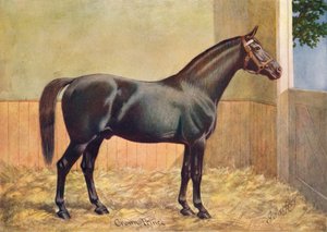 Étalon Yorkshire Coach Horse Crown Prince, 1902 vers 1910 - Henry Powell Palfrey