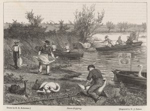 Chasse aux cygnes - Henry Robert Robertson