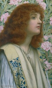 Laurier-rose
