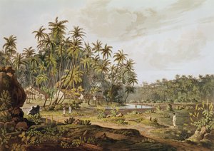 Vue près de Point du Galle, Ceylan, gravée par Daniel Havell (1785-1826) publiée en 1809 - Henry Salt