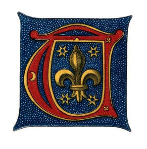 Lettre initiale T, 16ème siècle, 1843 - Henry Shaw