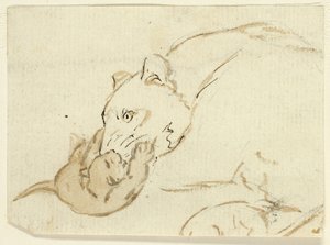 Cinq croquis de lions : Lionne et lionceau - Henry Stacy Marks