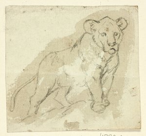 Cinq croquis de lions : Lionceau debout - Henry Stacy Marks