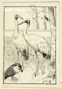 Quatre oiseaux dans un paysage - Henry Stacy Marks