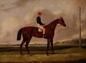 Cheval de course bai avec un jockey sur un hippodrome - Henry Thomas Alken