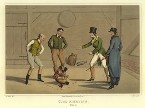 Combat de coqs (chromolithographie) - Henry Thomas Alken