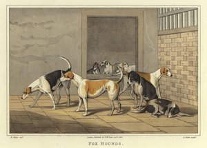 Chiens de Chasse (chromolitho) - Henry Thomas Alken