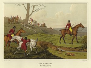 Chasse au renard