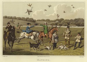 Chasse au faucon - Henry Thomas Alken