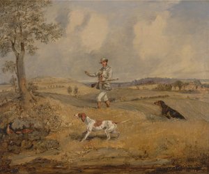 Chasse à la perdrix