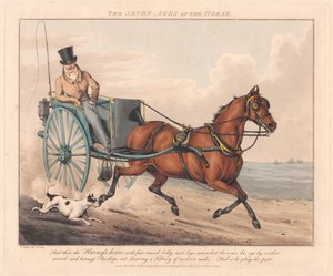  - Henry Thomas Alken