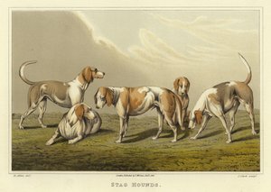Chiens de chasse (chromolithographie)