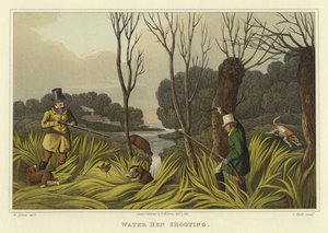 Chasse à la poule d