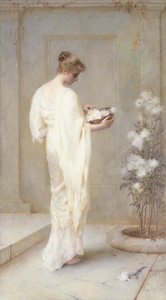 Divinement belle