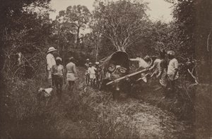 Villes en ruines de Ceylan : en route pour Polonnaruwa