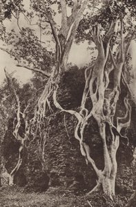 Villes en ruines de Ceylan : Kotuwa - Henry W. Cave