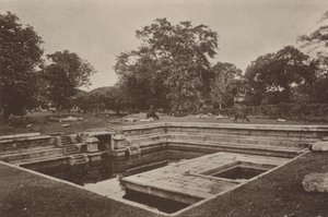 Villes en ruines de Ceylan : Pokuna