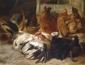 Un coq Rosecomb gris argenté et un Pologne noir à crête blanche avec deux poules fauves - Henry Weekes