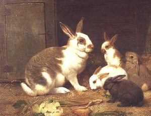 Lapins se nourrissant