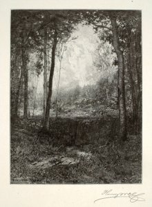 Dans les Adirondacks - Henry Wolf