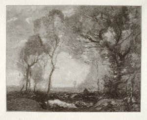 Paysage - Henry Wolf