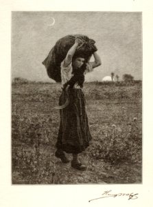 Le Soir - Henry Wolf