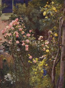 Dans un jardin de roses, Catherine Mermet et Maréchal Niel chez eux - Herbert Arnould Olivier