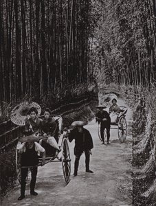 Une avenue de bambous à Kyoto (photo n/b) - Herbert Ponting