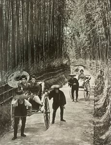Une avenue de bambous à Kyoto, 1910 - Herbert Ponting