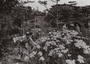 Au jardin d