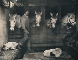 Capitaine Oates sur le Terra Nova avec les poneys sibériens