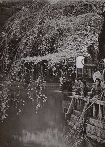 Le temps des cerisiers en fleurs au Japon - Herbert Ponting