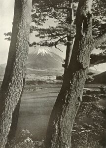Le mont Fuji à travers les pins du lac Motosu, 1910