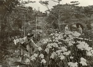 Dans un jardin d