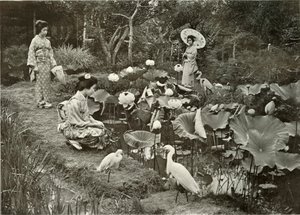 Au pays des lotus, 1910 - Herbert Ponting