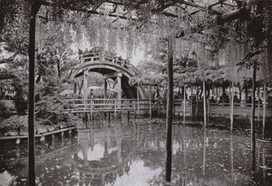 Kameido - Herbert Ponting