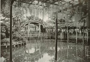 Kameido, 1910 - Herbert Ponting