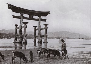 Le vieux Torii à Miyajima