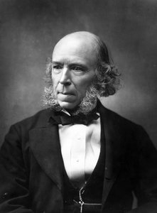 Herbert Spencer, 1888 - Herbert Rose Barraud
