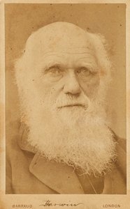 Portrait de Charles Darwin 1809-1882 - Herbert Rose Barraud