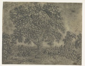 Le Grand Arbre - Hercules Segers