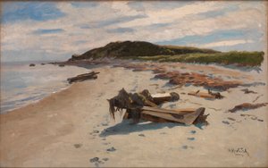 Cape Cod, Plage
