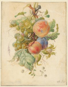Feston de fruits - Herman Henstenburgh