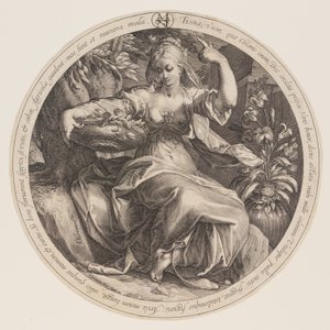 Flore - Herman Jansz. Muller